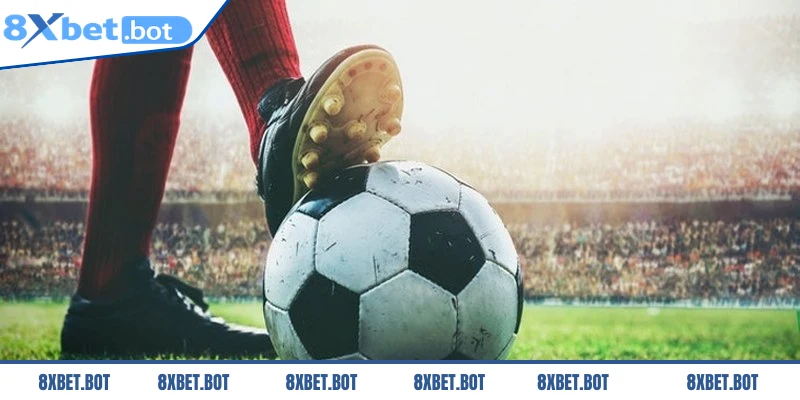 Lực lượng cầu thủ và đội hình ra sân chính thức